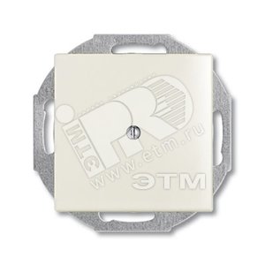 BASIC 55 Заглушка с суппортом chalet-white (2538-96-507) - ABB