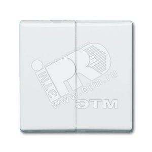 Клавиша для механизма 2-клавишного выкл./перекл./кнопки (IP44), серия Allwetter 44, цвет альпийский белый | 1731-0-1601  | 2CKA001731A1601 | ABB
