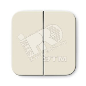 Клавиша для механизма 2-клавишного выкл./перекл./кнопки, серия Busch-Duro 2000 SI, цвет слоновая кость | 1731-0-1890 | 2CKA001731A1890 | ABB