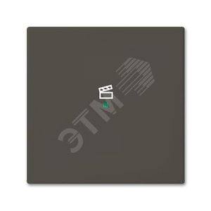 SRS-1-95 Клавиша одинарная free@home, сцена, Basic 55, цвет chateau-black | 6220-0-0689 | 2CKA006220A0689 | ABB