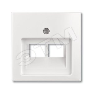 ABB Basic 55 Альп. белый Накладка 2-ой ТЛФ/комп розетки наклонной | 1753-0-0095 | 2CKA001753A0095 | ABB - ABB