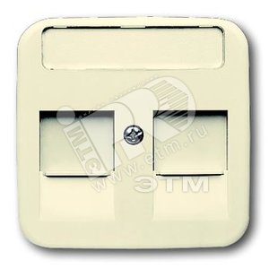 Плата центр. (накладка) для розеток с супп. 1810, 1812, 1814, 1816 и 1818, с полем для надписи, серия Busch-Duro | 1753-0-9975  | 2CKA001753A9975 | AB