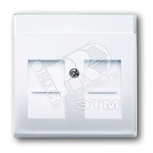 Накладкадля розеток с супп. 1810, 1812, 1814, 1816 и 1818, с полем для надписи, 1816, 1818, серия solo/futu | 1710-0-3990  | 2CKA001710A3990 | ABB