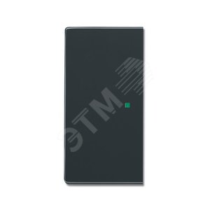 SR-2-81 Клавиша двойная free@home, future, антрацит | 6220-0-0152  | 2CKA006220A0152 | ABB - ABB
