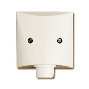 Плата центральная с суппортом, с выводом для кабеля (до 5 х 2.5 мм), IP44, серия Allwetter 44, цвет сл. кость | 1710-0-2256 | 2CKA001710A2256 | ABB 2