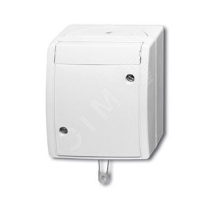 Переключатель со шнурком, IP44, для открытого монтажа, серия ocean, цвет альпийский белый | 1383-0-0143  | 2CKA001383A0143 | ABB 2