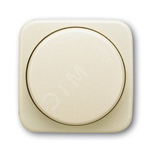 Плата центр. (накладка) с поворотной ручкой д. мех. поворотного светорег.,серия Busch-Duro 200 SI,цвет сл. кость | 6599-0-1334 | 2CKA006599A1334 | AB 2