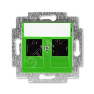 Розетка информационная ABB Levit двойная 2хRJ45 категория 5e зелёный (5014H-A51018 67W) - фото 2