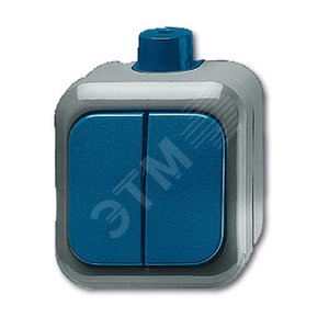 Выключатель 2-клавишный, для открытого монтажа, IP66, для работы в агрессивных средах, серия Busch-Duro 2000 WD 2