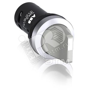 Переключатель C2SS2-10U-10 двухпозиционный серый 1НО (90 град.) с фиксацией (черное декоративное кольцо)