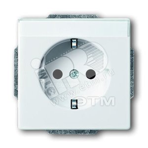 SOLO/FUTURE Розетка с заземлением 2Р+E 10/16А 250В с полем для надписи белая - ABB