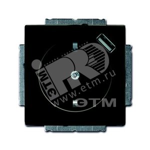 Розетка Schuko с устройством зарядным USB, 20 EUCBUSB-95-500, Basic55 chateau-чёрный, 16А, 700 мА, э - ABB