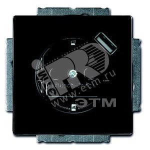 CARAT Розетка USB со шторками антрацит безвинтовые клеммы (20 EUCBUSB-81-500)