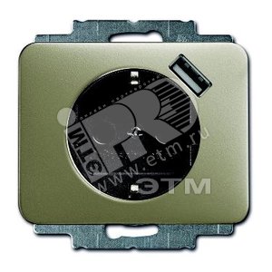 Розетка Schuko с устройством зарядным USB, 20 EUCBUSB-260-500, Alpha палладий, 16А, 700 мА, электрон - ABB