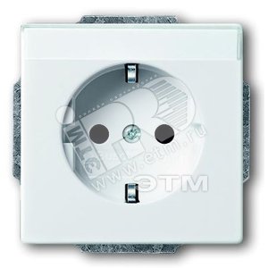 Розетка SCHUKO 16А 250В с полем для надписи, серия solo/future, цвет davos/альпийский белый | 2011-0-6209 | 2CKA002011A6209 | ABB - ABB