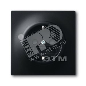 Розетка SCHUKO 16А 250В с защитными шторками, серия impuls, цвет чёрный бархат | 2013-0-5334 | 2CKA002013A5334 | ABB