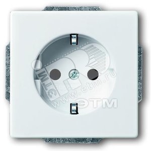 Розетка SCHUKO 16А 250В с защ. Шт., серия solo/future, цвет davos/альпийский белый | 2013-0-5372 | 2CKA002013A5372 | ABB - ABB
