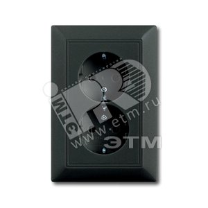 BASIC 55 Розетка двойная с заземлением chateau-black 16А 250В SCHUKO (20-02 EUJ-95-5) - ABB