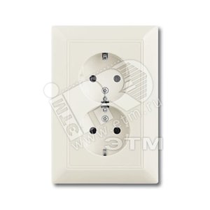 BASIC 55 Розетка двойная с заземлением chalet-white 16А 250В SCHUKO (20-02 EUJ-96-5) - ABB