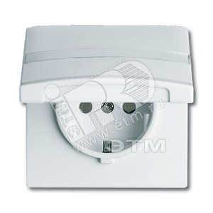 ALLWETTER Pозетка х 2P+Eс крышкой (BJE20EUGKN-32) - ABB