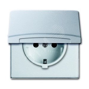 Розетка 2Р+E с крышкой (IP44) Allwett алюминий - ABB
