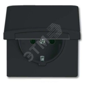 Розетка 20 EUGK-35-101, с крышкой, Allwetter44, IP44, черный/антрацит, уплотн. кольцо в комплекте, 16А, 250В. | 2064-0-0290 | 2CKA002064A0290 | ABB