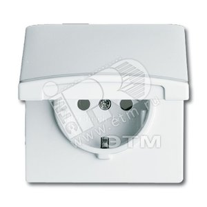 Розетка SCHUKO, 20 EUGKB-34-101, с крышкой, с защитными шторками, Allwetter44, IP44, альпийский белый, 250В. | 2064-0-0294 | 2CKA002064A0294 | ABB - ABB