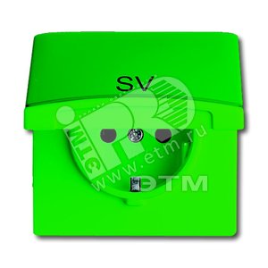 Allwetter44 Розетка 20 EUGKB-13-101, c контрольным СД, с крышкой с маркировкой SV, IP44, зеленая, уп - ABB