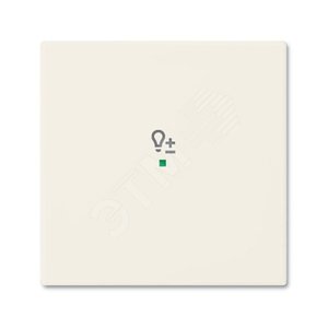 SRD-1-96 Клавиша одинарная free@home, светорегулятор, Basic 55, цвет chalet-white | 6220-0-0707 | 2CKA006220A0707 | ABB - ABB