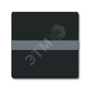 Клавиша для мех. 1-клавишного выкл./перекл./кнопки, с полем для надписи (IP44), серия Allwetter 44, цвет антрацит | 1731-0-1718  | 2CKA001731A1718 | A 2