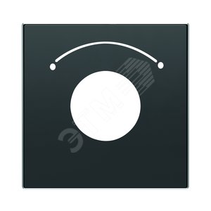 Накладка для механизма выключателя с ключом на 2 положения, серия SKY, цвет чёрный барх.|2CLA855300A1501| ABB 2