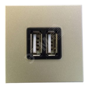 Механизм USB зарядного устройства шампань 2