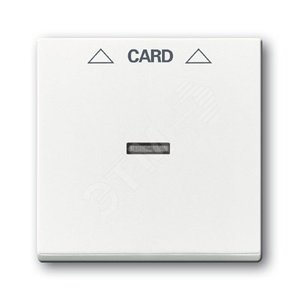 Плата центральная (накладка) для мех. карточного выкл. 2025 U, серия solo/future, цвет davos/альпийский белый | 1710-0-3641  | 2CKA001710A3641 | ABB 2