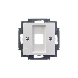 ABB Basic 55 Альп. белый Плата центральная 1-я для коммуникац розеток 0210, 0211 и 0219 | 1753-0-0213  | 2CKA001753A0213 | ABB - фото 3