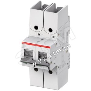 Выключатель автоматический двухполюсный S802S R 25А C 50кА (S802S-C25-R) | 2CCS862002R0254 | ABB