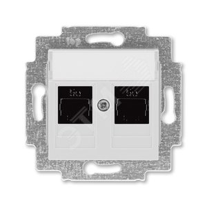 Розетка информационная ABB Levit двойная 2хRJ45 категория 5e серый (5014H-A51018 16W)