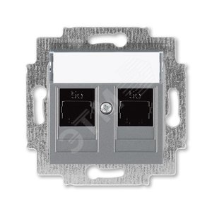 ABB Levit Сталь Розетка комп. 2-ая 2хRJ45 категория 5e | 5014H-A51018 69W | 2CHH295118A6069 | ABB - ABB