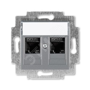 ABB Levit Сталь Розетка комп. 2-ая 2хRJ45 категория 6 | 5014H-A61018 69W | 2CHH296118A6069 | ABB - ABB