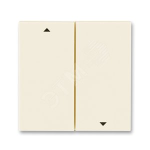 ABB Levit Слоновая кость / белый Сменная панель на клавишу для выключателя жалюзи Слоновая кость | ND3559H-A447/1 17 | 2CHH594471A8017 | ABB