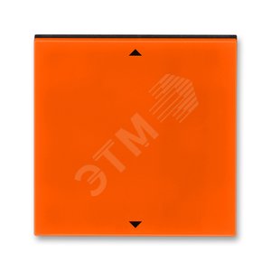 Управляющий элемент Busch-Jalousiecontrol®II ABB Levit с маркировкой оранжевый / дымчатый чёрный (3299H-A00110 66) - ABB