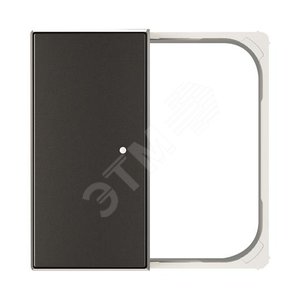 SR-2-85NS Клавиша двойная free@home, SKY, черный бархат|2CLA852640A1501| ABB