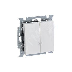 ABB Basic 55 Альп. белый Выключатель 2-клавишный с подсветкой | 1012-0-2154  | 2CKA001012A2154 | ABB - фото 5
