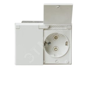 Розетка Double Shuko 16А 230В с крышкой, IP21/44  Impressivo, белый (302EUCK-84) - ABB