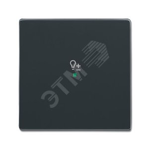 SRD-1-81 Клавиша одинарная free@home, светорегулятор, future, антрацит|6220-0-0149| ABB - ABB