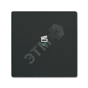 Клавиша одинарная free@home, сцена, future, цвет чёрный бархат|6220-0-0621| ABB