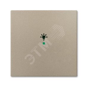 SRL-1-93 Клавиша одинарная free@home, освещение, Basic 55, цвет шампань | 6220-0-0653  | 2CKA006220A0653 | ABB - фото 2