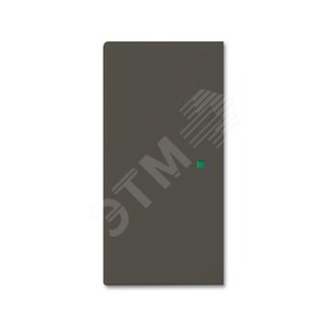 SR-2-95 Клавиша двойная free@home, Basic 55, цвет chateau-black | 6220-0-0691 | 2CKA006220A0691 | ABB - ABB