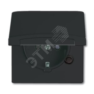 Allwetter44 Розетка SCHUKO 20 EUGKB-35-101 с крышкой с защитными шторками IP44 черный/антрацит уплотнительное кольцо в комплекте 16А 250В. (20 EUGKB-35-101) - фото 2