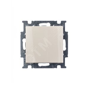ABB Basic 55 Сл. кость Выключатель 1-клавишный | 1012-0-2146 | 2CKA001012A2146 | ABB - фото 5