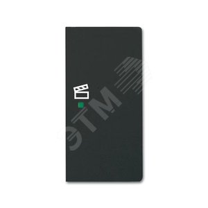 Клавиша двойная правая free@home, сцена, future, цвет чёрный бархат|6220-0-0630| ABB